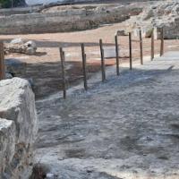 Isthmia site stade 1 img 3118